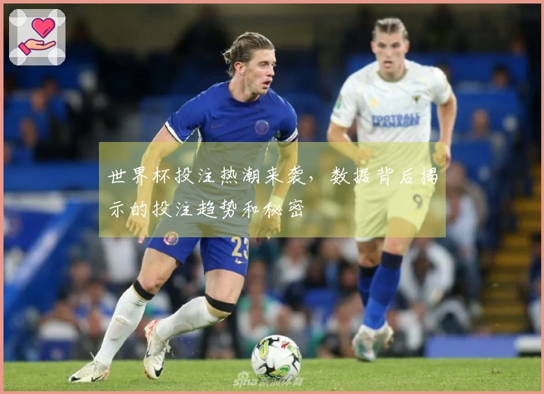 世界杯投注热潮来袭，数据背后揭示的投注趋势和秘密