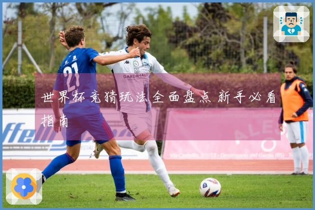 世界杯竞猜玩法全面盘点 新手必看指南