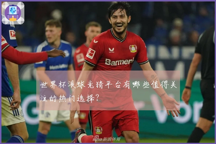 世界杯滚球竞猜平台有哪些值得关注的热门选择？