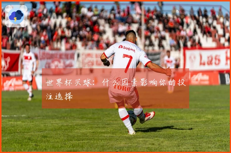 世界杯买球：什么因素影响你的投注选择