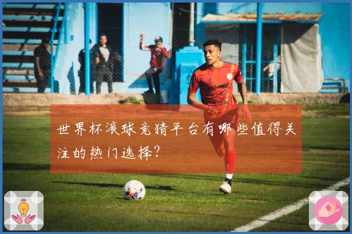 世界杯滚球竞猜平台有哪些值得关注的热门选择？