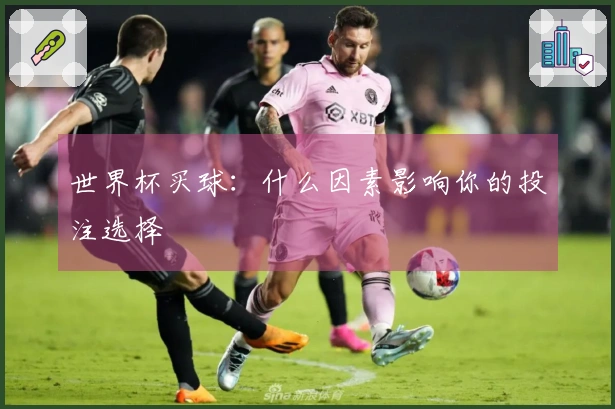 世界杯买球：什么因素影响你的投注选择